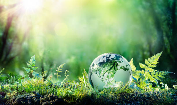 Les Français face aux risques environnementaux : quelle prise de conscience en 2022 ? – Ministère de la Transition écologique