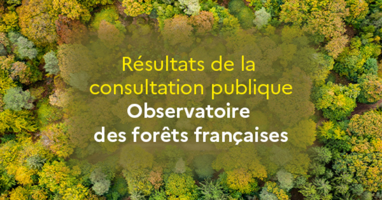 Observatoire des forêts françaises : résultats de la consultation – IGN
