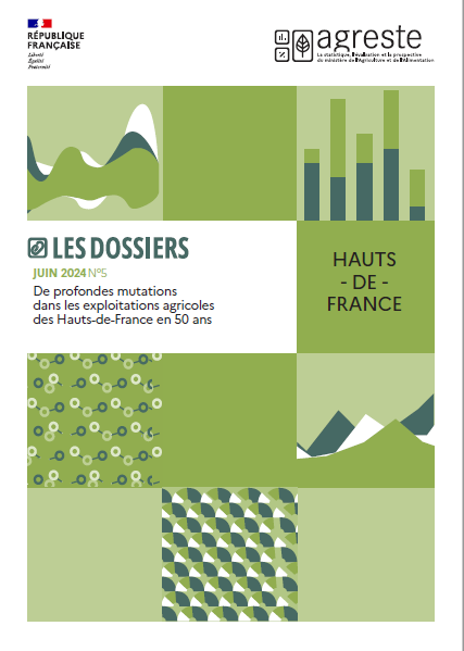 De profondes mutations dans les exploitations agricoles des Hauts-de-France en 50 ans – DRAAF Hauts-de-France